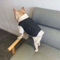 골든독 강아지 정장 턱시도 세트구성 L-4XL 소형견 중형견 중대형견 프렌치불독 잉글리쉬불독 착용가능 옷, 셔츠