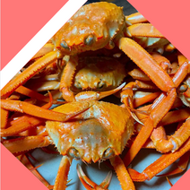 힐링수산 포항 구룡포 자숙 고급 홍게 소소 10마리 무료찜, 홍게 고급형 3kg 10마리