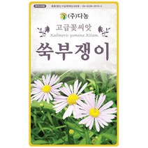 벌개미취 300립 - 야생화 씨앗 꽃씨 씨 꽃씨앗 벌개미취씨앗 벌개미취씨 다년생 여러해살이 야생화씨 야생화씨앗 꽃, 32_다농_쑥부쟁이(1.5g)