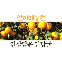 [인담귤] 제주 제철 감귤 산아래 5k 10k 프리미엄 선물용 달콤한과일 사포냐귤, 1개, 10kg[일반]가족용