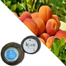 늘향 늘향 순수한 복숭아향 항아리캔들 (2737179), 1호 파랑
