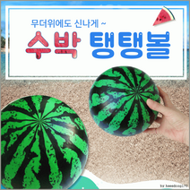 탱탱볼[수박 탱탱볼]탱탱볼/비치볼/수박탱탱볼/KC인증/비치볼/수박공/비취볼/공/축구공[효정무역], 펌프