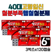 40대 50대 고령임신 임신기간 철분부족 햄철 철분제