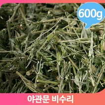 건강 약초 야관문 600g 비수리 담금주 영양 한방차