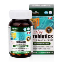 하루미소 캐나다 액티브 프로바이오틱스 (500mg 60캡슐) 1통