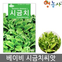 베이비 시금치씨앗/1000립 시금치 싹 베이비채소 씨앗
