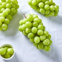 영천 프리미엄 샤인머스켓 2kg 망고포도 씨없는 청포도