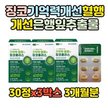 은행잎추출물 징코 기억력 혈행개선 아연 판토텐산 건강기능식품 30정, 3박스