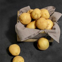 철따라농산물 햇 수미감자 홍감자, 대(찜용) 5kg