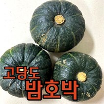 바밤 단호박 (냉동), 1개, 250g