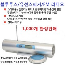 라디오 겸용 블루투스 스피커