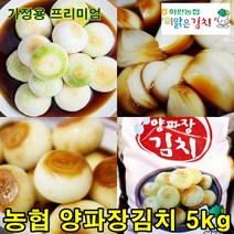 해남 화원농협 양파장김치 5kg 국내산 100% 영양 높은 햇살해풍해남양파 이맑은김치
