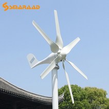 무소음발전기 소형 캠핑 무료 에너지 터빈 전원 1000w 내부 자기 부상 12v 24v, 풍력 터빈 전용, 800w 6 블레이드