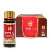 광동제약 산삼 배양근 진액, 100ml, 10개
