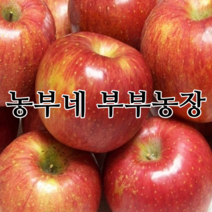햇사과 22년 부사 맛있는 꿀사과 산지직송 농부네 부부농장, 05. 알뜰사과 가정용 5kg 대과