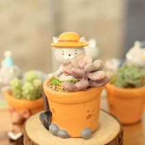 ROOGO 루고 화분 러블리캣 농부냥이