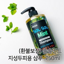 솔솔민트 딥클렌징 두피 샴푸, 1개, 750ml