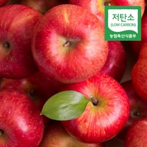 경북 의성 당도선별 사과 저탄소 홍로 부사, 1개, 정품 5kg 대과