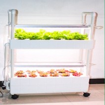 뉴이어 LED 수경재배기, 2단