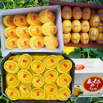 성주 햇 참외 고당도 꿀단지참외 가정용 흠집 꼬마과 (55~90과) 10kg (기본포장), 꼬마과10kg(55~90과), 1개