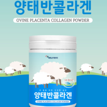 미녀 콜라겐 양태반 농축 분말 피쉬콜라겐 펩타이드 단백질 필수 아미노산 히스티딘 메티오닌 글리신 피부탄력100% 호주산, 1개, 230g