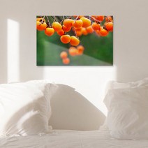 아트박스/꾸밈 tc203-아크릴액자_돈들어오는감그림(대형)