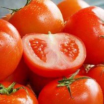 [GAP인증] 당일수확 완숙 토마토, 5kg 로얄과(개당중량 140~250g)