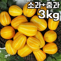 성주 희토류찐꿀 참외 GAP인증 가정용못난이 [꼬마과/소과/중과] 3kg/5kg/10kg 당일수확/당일발송, 03_[소과+중과]가정용못난이_2kg
