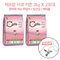 국내산 캐츠랑 어린고양이 고단백 사료 2kg X 2포대 낚시대 증정 색소 향미제 무첨가 요로건강 헤어볼관리 장건강 피모관리 길냥이 보호소기부 대용량 비만 체중관리 새끼고양이, 2kg X 3포대