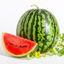 오렌지씨 고당도 수박 6-7Kg 수박쥬스 수박화채, 단품없음