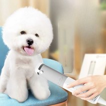소형견 드라이기빗 가정용 저소음 고속 송풍기, 그린  워터블로워 + 브러싱 헤어스타일링