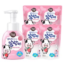 말랑카우 버블 핸드워시 300ml 용기1개+250ml 리필4개, 02_딸기/용기1+리필4