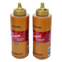토라니 미니 커피시럽 커피소스468g (카라멜+초코렛)2종 세트, 카라멜2개