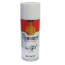 제일케미칼 카페인트_스프레이페인트(르노삼성전용), GBE_12