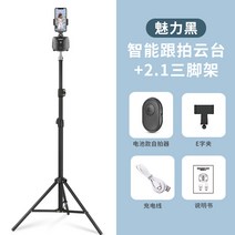 팔로우캠 360도 회전 전자동 스마트폰 안면인식 디더링 동영상 촬영 및 카메라 촬영기, 옵션13
