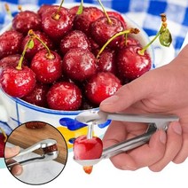 과일선별기 농기계 농업용 사과 감 복숭아 방울토마토 선별기 도구 기계 휴대용 과일 주방 과일 리무버 올리브 씨앗 쓴 키트 주방 다이닝 앰프 술집, 여러 가지 빛깔의