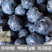블루베리_프리미엄_영화청과_수입산_냉동_생_500g_시세_납품_재배_저장_백화점_보관 BA31, 상세페이지 참조