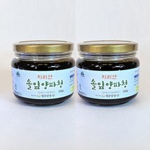 청운당농산 지리산 솔잎 양파청 2병 순수 양파 빨간 자색 양파즙 조청, 500g