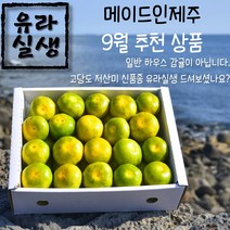 (예약중) 23년 고당도 저산미 하우스 유라실생 3kg 5kg, 1개, 가정용 10kg