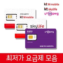 SK KT LG 알뜰요금제 알뜰폰 유심 칩 후불 후불제 무약정 자급제
