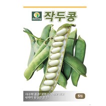 작두콩 5립 작두콩씨 작두콩종자 작두콩씨앗