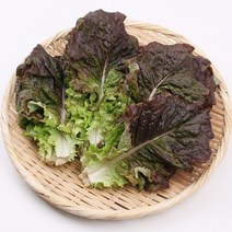 적상추 1kg 팔팔마켓 국내산 쌈채소 빨간 상추