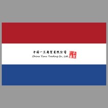 다이캐스트사이버트럭장난감 다이캐스트테슬라사이버트럭 국기 리튬 공화국 데칼 인쇄 물질 스티커 윈도우, 16 라이트 그린_05 wide15cm