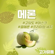 고가유통 / 고당도 프리미엄 메론 머스크 멜론 국내산, 4개(6~8kg)