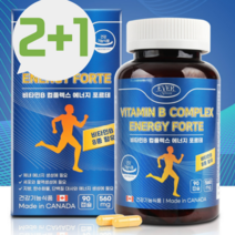 [2+1]고농축 비타민B 구내염 비타민 b100 입병 영양제 560mg 90캡슐