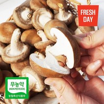 프레시데이 고창 생 표고버섯 특품 1kg, 생 표고버섯 특품/1kg