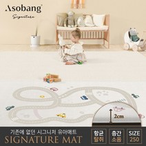 아소방 [아소방] 시그니처 유아 놀이방매트 트립마이시티 250 (250x150x2cm), 선택완료