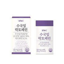 HWC 수국잎 락토페린 정 열수추출공법 피쉬콜라겐 비오틴 푸룬, 2박스, 60정