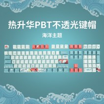 해외 E 요소 기계식 키보드 키캡 레트로 라운드 펑크 반투명 PBT 키캡 골드-21072, 옵션21, 01.패키지 1