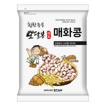 힘찬농부오달봉 수입 매화콩 호랑이콩 강낭콩 울타리콩 새알콩 제비콩, 1포, 수입매화콩4kg(2kg 2kg)